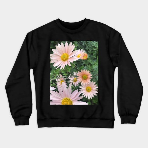 Daisies Crewneck Sweatshirt by Amanda1775